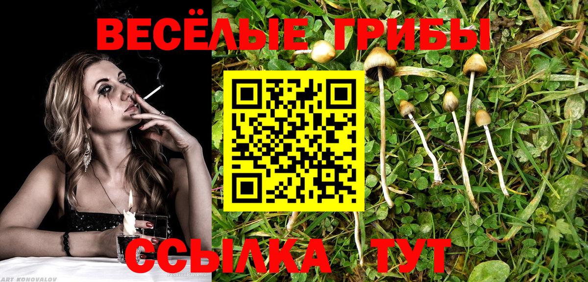 Псилоцибиновые грибы GOLDEN TEACHER  Вход с VPN  цены наркотик  Галлюциногенные грибы GOLDEN TEACHER  Дзержинск 