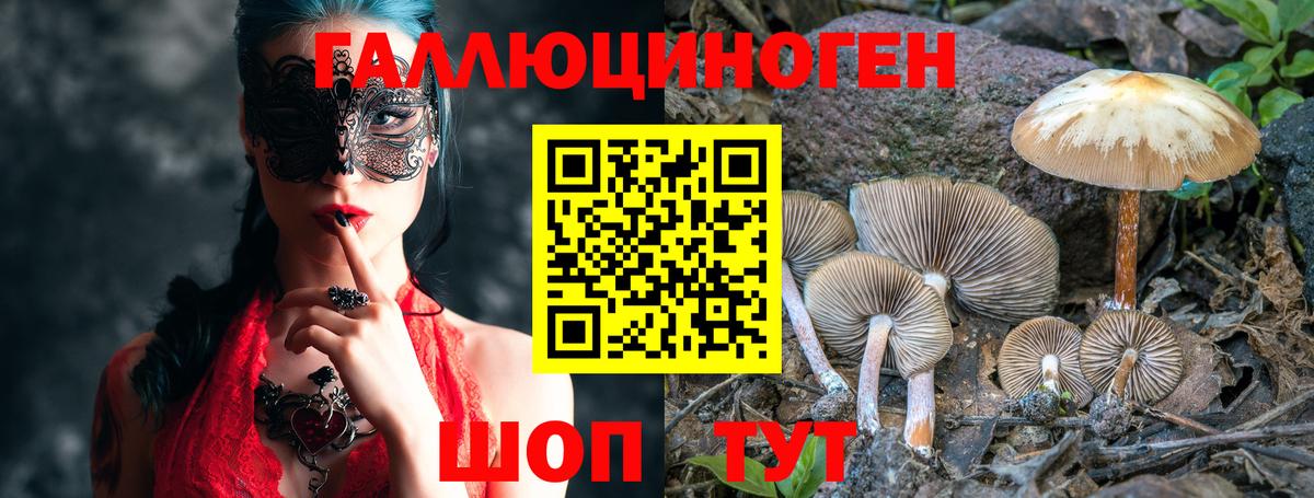 Псилоцибиновые грибы прущие грибы Дзержинск